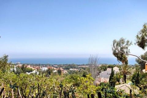 House zum Verkauf Malaga, Spanien 5 Schlafzimmer, 570 m2 Nr. 69590 - Foto 14
