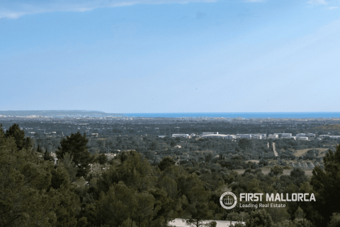 Villa for sale in Bunyola, Mallorca, Spain 4 bedrooms, 548 sq.m. No. 164595 - photo 5