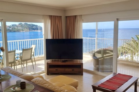 Apartment à louer à Santa Ponsa, Mallorca, Espagne, 3 chambres, 125 m2 No. 164592 - photo 4