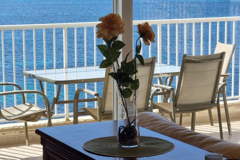 Apartment à louer à Santa Ponsa, Mallorca, Espagne, 3 chambres, 125 m2 No. 164592 - photo 3