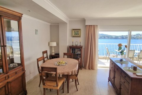 Apartment à louer à Santa Ponsa, Mallorca, Espagne, 3 chambres, 125 m2 No. 164592 - photo 6