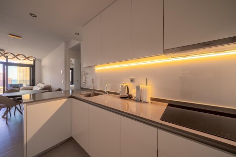 Аренда квартиры в Бенидорм, Аликанте, Испания 2 спальни, 98м2 №165676 - фото 20