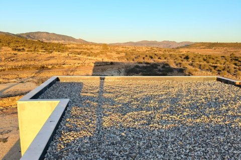 Willa w Pinoso, Alicante, Hiszpania 3 sypialnie, 162.46 mkw. nr 165679 – zdjęcie 11