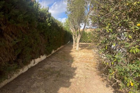 Villa in vendita Torrevieja, Alicante, Spagna 4 camere da letto,  N° 138956 - foto 7