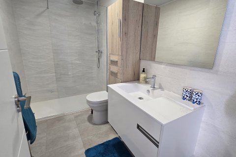 Appartamento in vendita Pilar de la Horadada, Alicante, Spagna 2 camere da letto, 73 mq. N° 138954 - foto 20