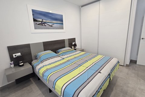 Appartamento in vendita Pilar de la Horadada, Alicante, Spagna 2 camere da letto, 73 mq. N° 138954 - foto 15
