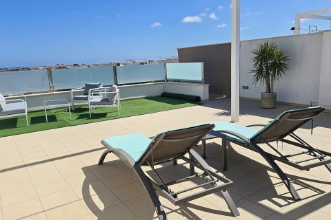 Appartamento in vendita Pilar de la Horadada, Alicante, Spagna 2 camere da letto, 73 mq. N° 138954 - foto 23