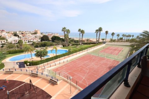 Apartament Pilar de la Horadada, Alicante, Hiszpania 3 sypialnie, 119 mkw. nr 138953 – zdjęcie 3