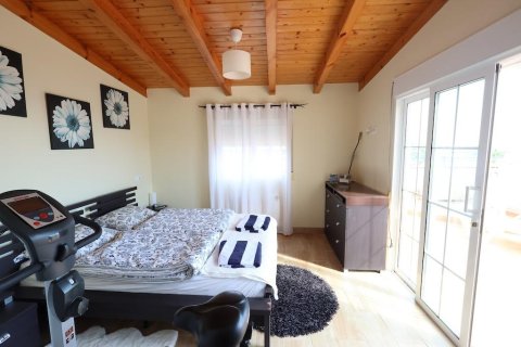 Apartament Pilar de la Horadada, Alicante, Hiszpania 3 sypialnie, 119 mkw. nr 138953 – zdjęcie 13