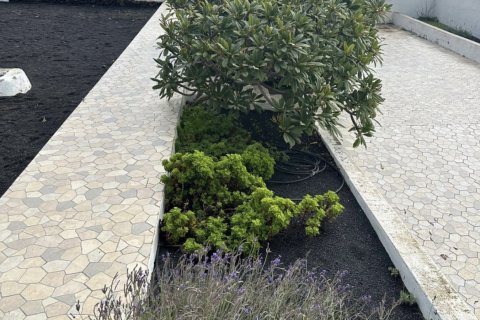 Дом в Хария, Лансароте, Испания 4 спальни, 257м2 №152294