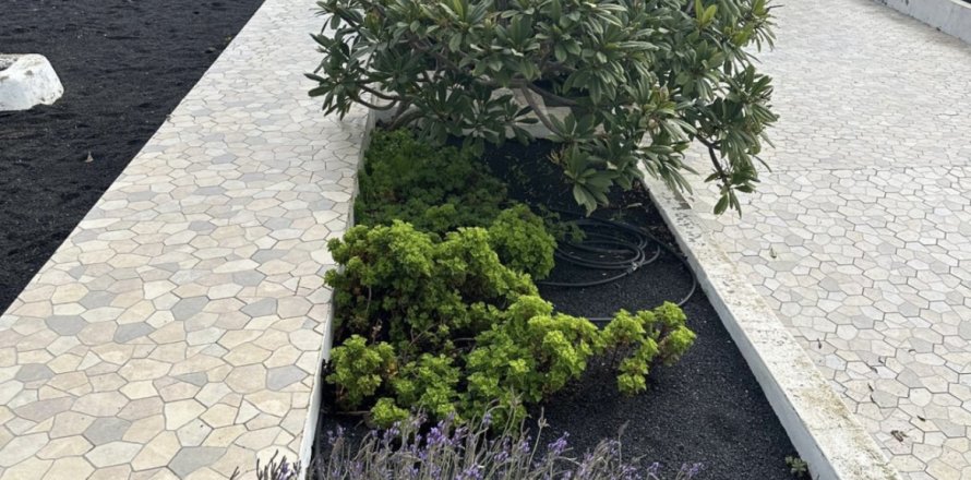 Dom w Haria, Lanzarote, Hiszpania 4 sypialnie, 257 mkw. nr 152294