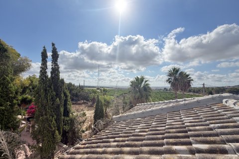 Villa à vendre à San Miguel de Salinas, Alicante, Espagne, 6 chambres, 450 m2 No. 193150 - photo 27