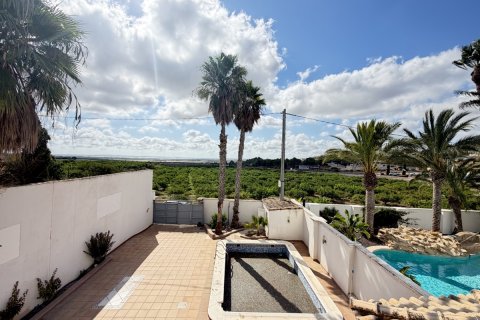 Villa à vendre à San Miguel de Salinas, Alicante, Espagne, 6 chambres, 450 m2 No. 193150 - photo 28