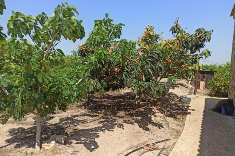 Finca in vendita a San Miguel de Salinas, Alicante, Spagna 6 camere da letto, 300 mq. N° 144782 - foto 21