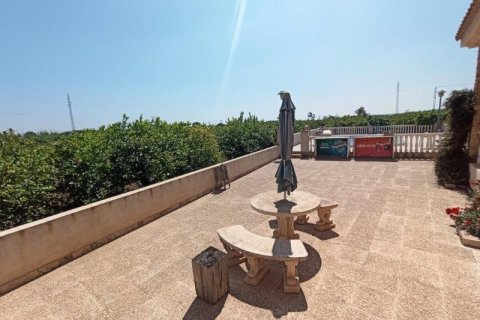 Finca in vendita a San Miguel de Salinas, Alicante, Spagna 6 camere da letto, 300 mq. N° 144782 - foto 4