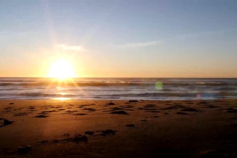 Apartment for sale in Torrevieja, Alicante, Spain 1 bedroom, 35 sq.m. No. 142052 - photo 30