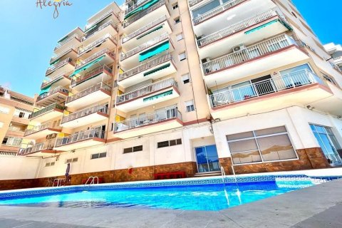 Продажа квартиры Торревьеха, Аликанте, Испания 2 спальни, 117м2 №116858 - фото 6