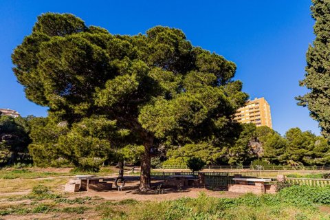 Casa adosada en venta en Dehesa De Campoamor, Alicante, España 4 dormitorios, No. 189186 - foto 24