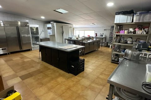 Commercial property à louer Marbella, Malaga, Espagne, 225 m2 No. 136875 - photo 3