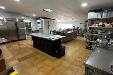 Commercial property à louer Marbella, Malaga, Espagne, 225 m2 No. 136875 - photo 5