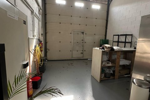 Commercial property à louer Marbella, Malaga, Espagne, 225 m2 No. 136875 - photo 8