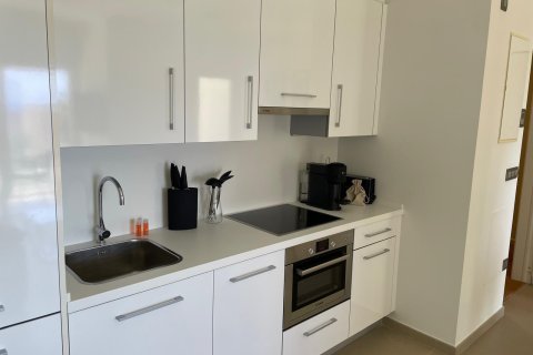 Apartment à vendre à Benidorm, Alicante, Espagne, 1 chambre, 95 m2 No. 179567 - photo 2
