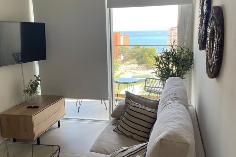 Apartment à vendre à Benidorm, Alicante, Espagne, 1 chambre, 95 m2 No. 179567 - photo 14