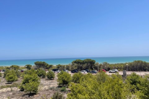 Apartament w Guardamar del Segura, Alicante, Hiszpania 78 mkw. nr 166582 – zdjęcie 19
