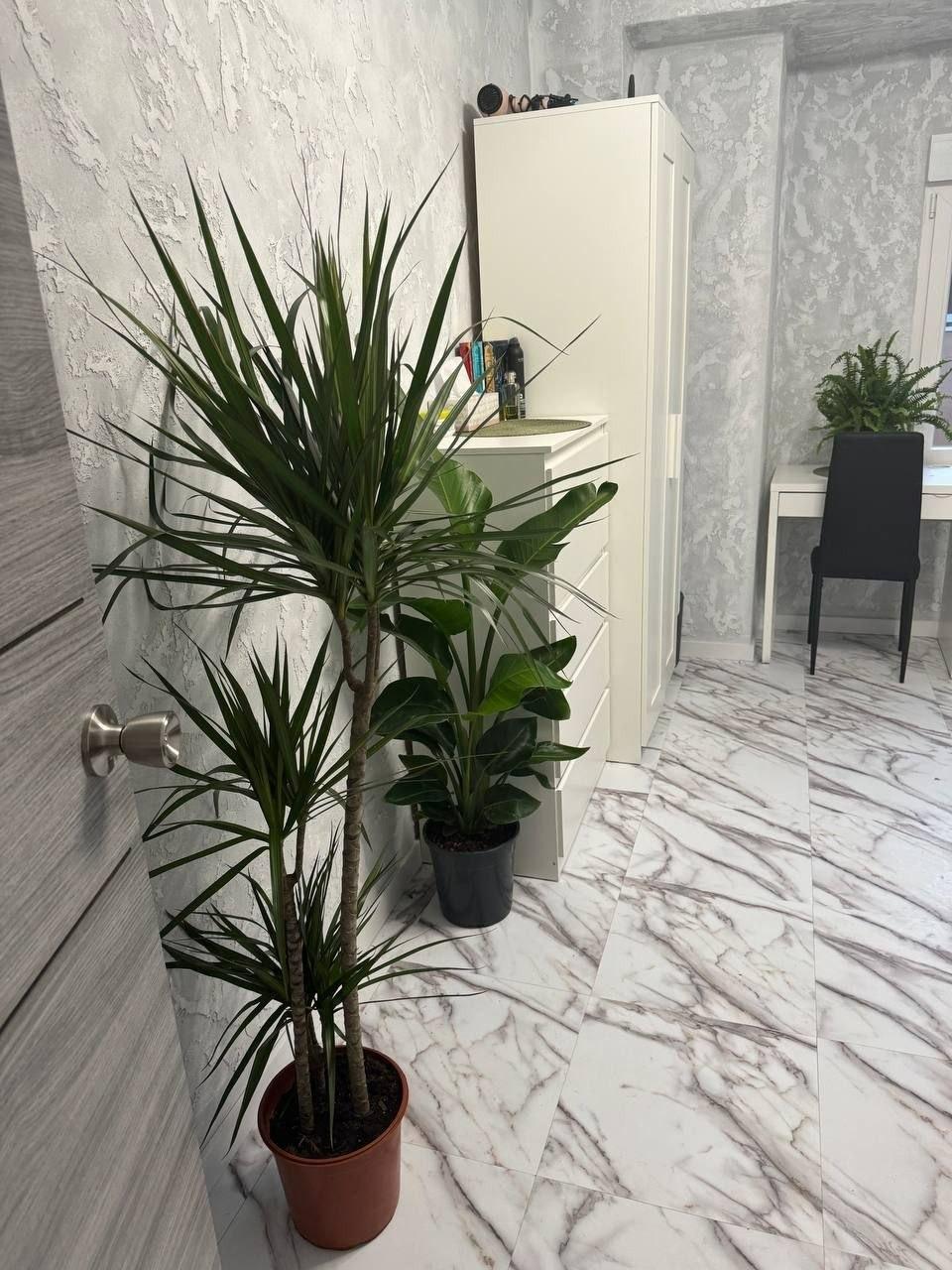 Wohnung in Mislata, Valencia, Spanien 1 Schlafzimmer, 95 m2 Nr. 166587