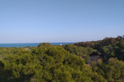 Apartament w Guardamar del Segura, Alicante, Hiszpania 4 sypialnie, 154 mkw. nr 151663 – zdjęcie 12