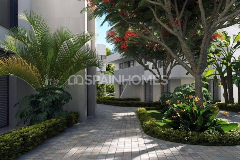 Kattohuoneisto myytävänä Torre-Pacheco, Murcia, Espanja, 3 makuuhuonetta, 112 m2 No. 73963 - kuva 4