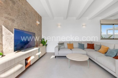 Продажа виллы в Бенихофар, Аликанте, Испания 3 спальни, 225м2 №104147 - фото 10