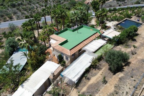 Finca en venta Alicante, España 6 dormitorios, 317 m2 No. 139370 - foto 12