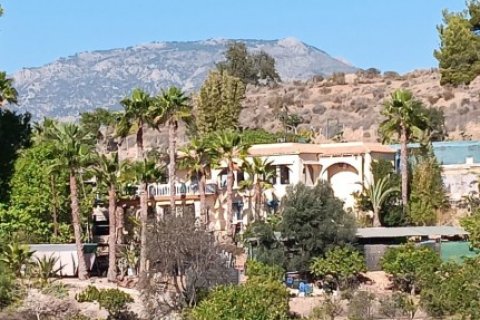Finca en venta Alicante, España 6 dormitorios, 317 m2 No. 139370 - foto 4