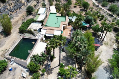 Finca en venta Alicante, España 6 dormitorios, 317 m2 No. 139370 - foto 15