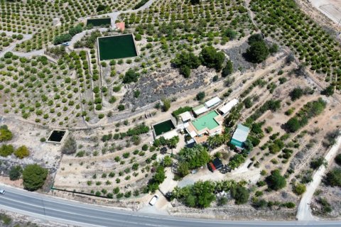 Finca en venta Alicante, España 6 dormitorios, 317 m2 No. 139370 - foto 13