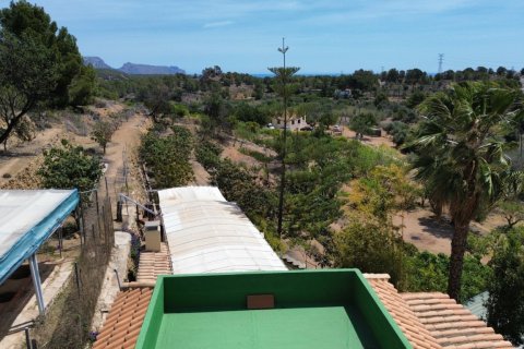 Finca en venta Alicante, España 6 dormitorios, 317 m2 No. 139370 - foto 22