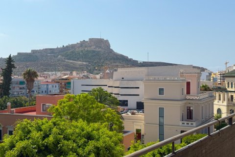 Apartament w Alicante, Hiszpania 1 sypialnia, 234 mkw. nr 166179 – zdjęcie 25