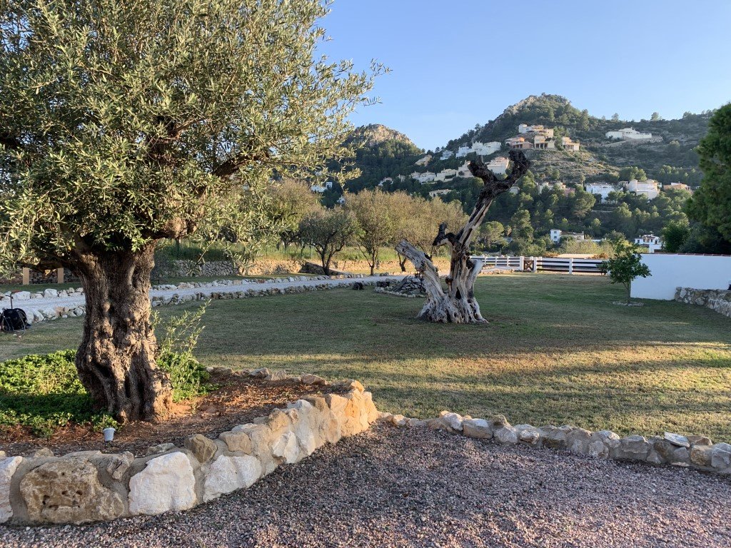 Huvila Pedreguer, Alicante, Espanja 5 makuuhuonetta, 550 m2 No. 80538