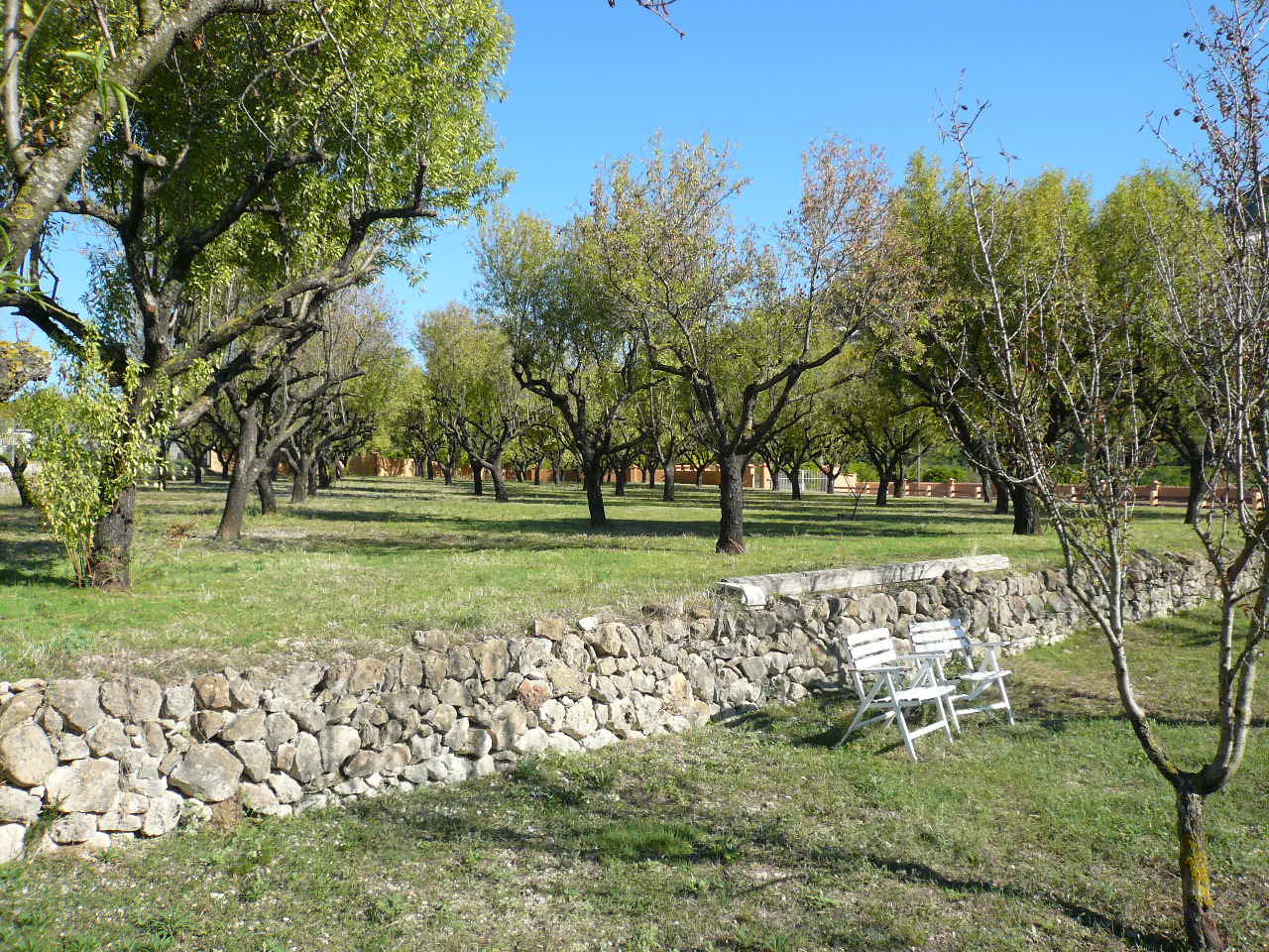 Huvila Pedreguer, Alicante, Espanja 5 makuuhuonetta, 550 m2 No. 80538
