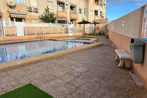 Kattohuoneisto myytävänä Nueva Torrevieja, Alicante, Espanja, 2 makuuhuonetta, 65 m2 No. 165870 - kuva 25