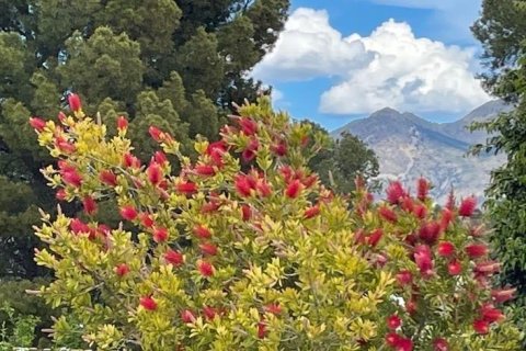 Villa in vendita a La Alberca, Alicante, Spagna 3 camere da letto, 150 mq. N° 165872 - foto 29