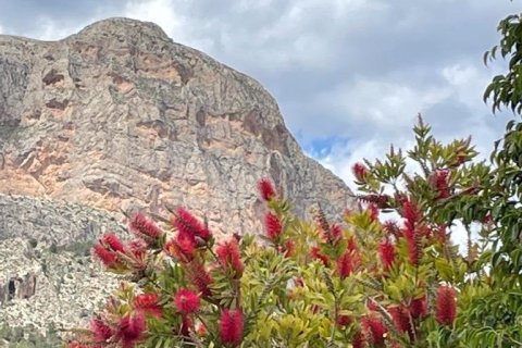 Villa in vendita a La Alberca, Alicante, Spagna 3 camere da letto, 150 mq. N° 165872 - foto 30