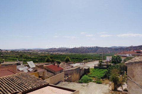 Продажа дома в Арболеас, Альмерия, Испания 4 спальни, 110м2 №184037 - фото 11