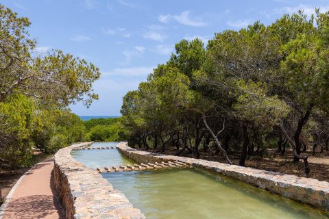 Bungalow till salu i La Mata, Alicante, Spanien 2 sovrum,  Nr. 144553 - foto 28