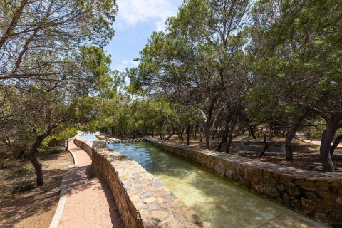 Bungalow till salu i La Mata, Alicante, Spanien 2 sovrum,  Nr. 144553 - foto 27