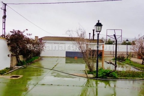 Villa zum Verkauf Baza, Granada, Spanien 4 Schlafzimmer, 160 m2 Nr. 113676 - Foto 14