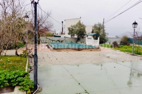 Villa zum Verkauf Baza, Granada, Spanien 4 Schlafzimmer, 160 m2 Nr. 113676 - Foto 18