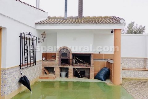Villa zum Verkauf Baza, Granada, Spanien 4 Schlafzimmer, 160 m2 Nr. 113676 - Foto 16