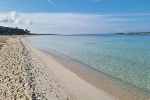 Apartament Colonia De Sant Jordi, Mallorca, Hiszpania 3 sypialnie, 280 mkw. nr 137510 – zdjęcie 15